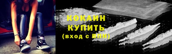 гидра Елабуга