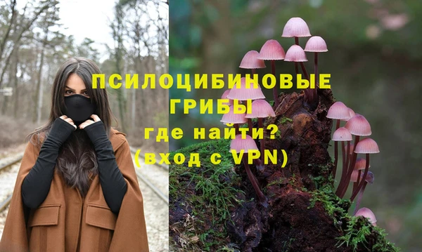 спиды Заволжск