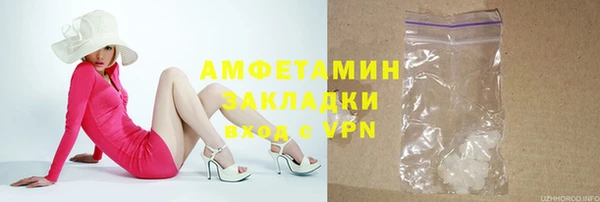 гидра Елабуга