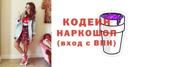 прущие крисы Ельня