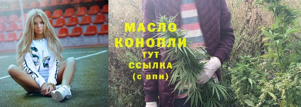 гидра Елабуга