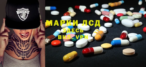 стафф Елизово