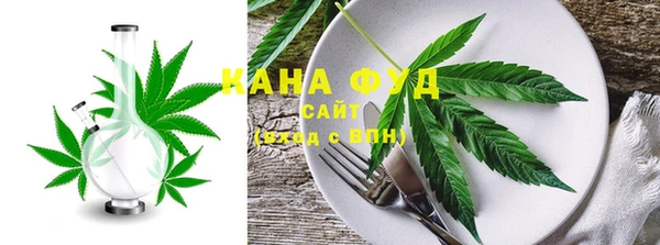 гидра Елабуга