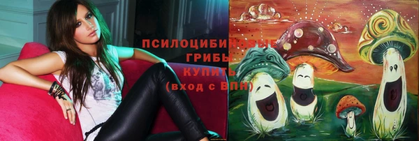 прущие крисы Ельня